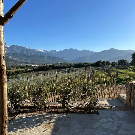 Les Bergeries De Calvi Ferienhaus