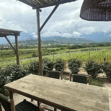 Les Bergeries De Calvi Calvi (Corsica)